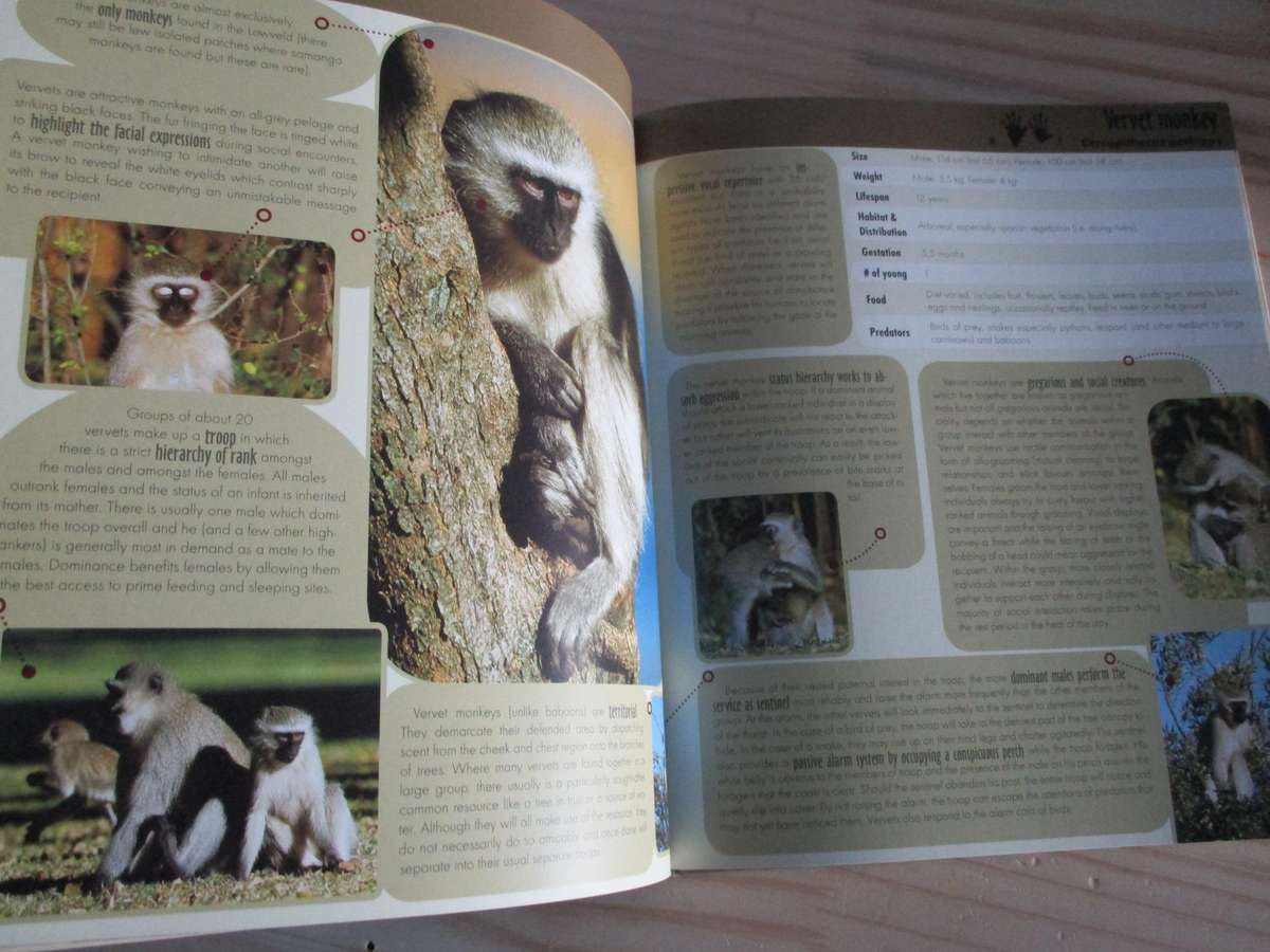 Game Ranger in Your Backpack - All-in-one interpretative guide to the Lowveld