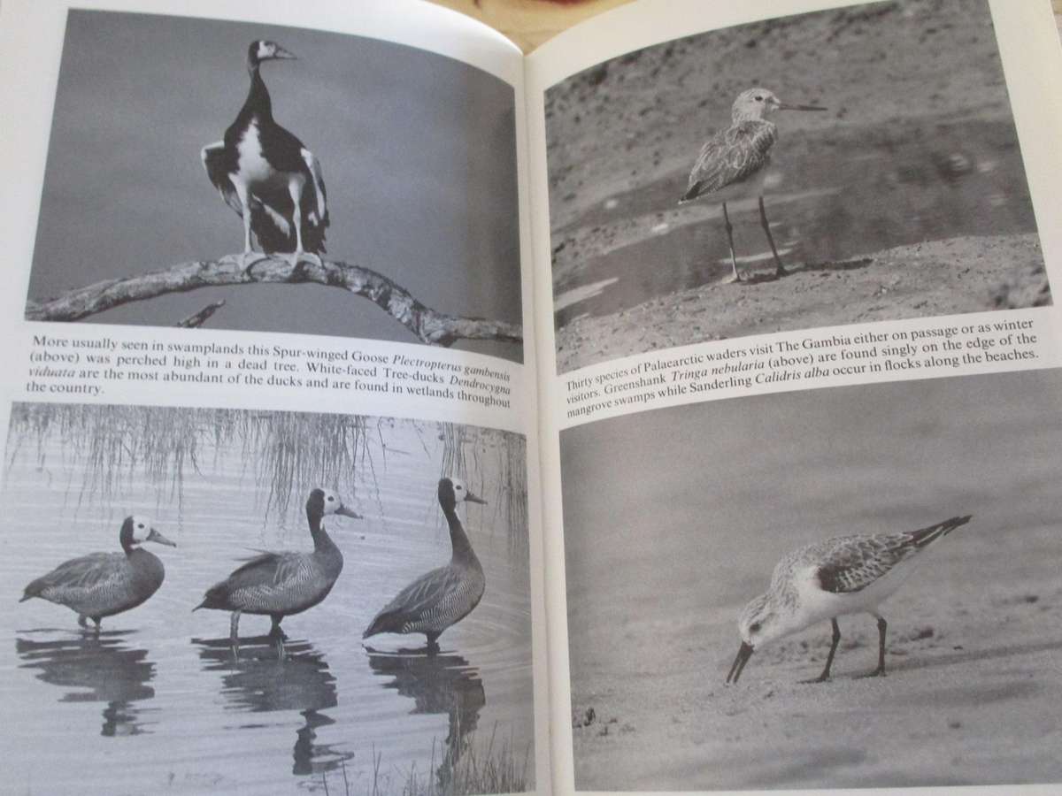 BIRDS OF THE GAMBIA. Signed by author