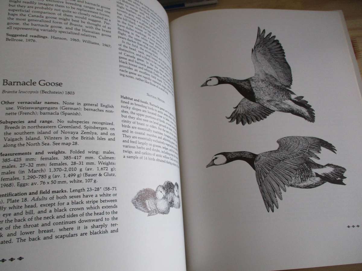 DUCKS, GEESE & SWANS OF THE WORLD