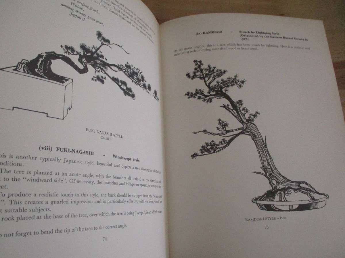 The South African Bonsai Book. By Douglas Hall & Don Black