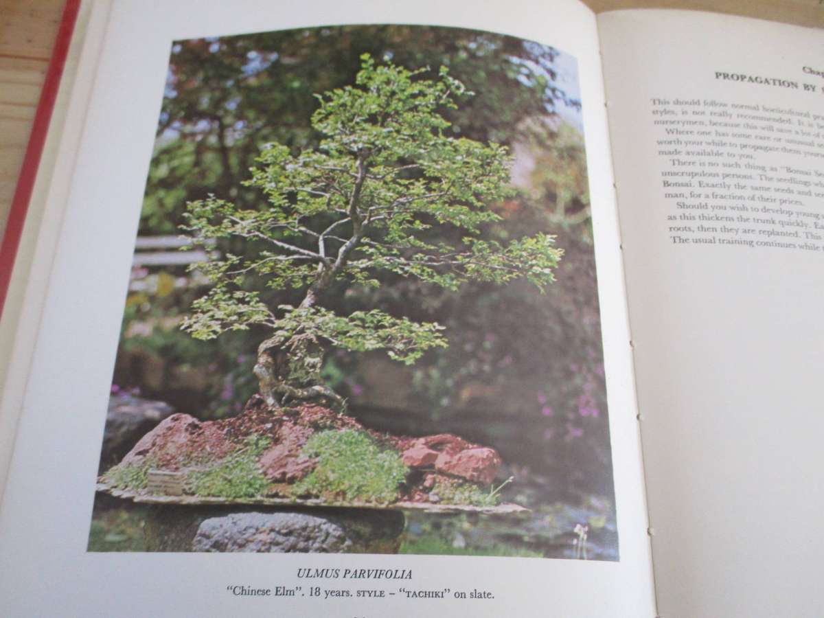 The South African Bonsai Book. By Douglas Hall & Don Black