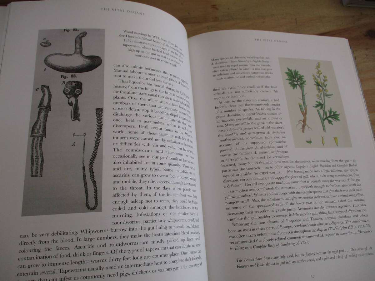 Dangerous Garden: the quest for plants to change our lives. By David Stuart