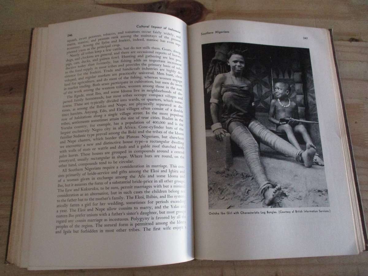 Africa - Its Peoples and their Culture History