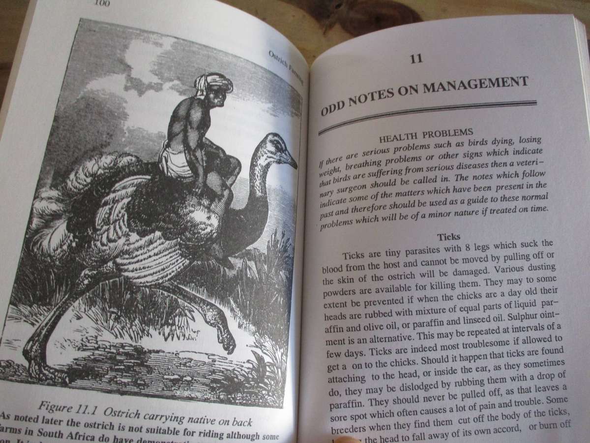 Ostrich Farming. Dr Joseph Batty