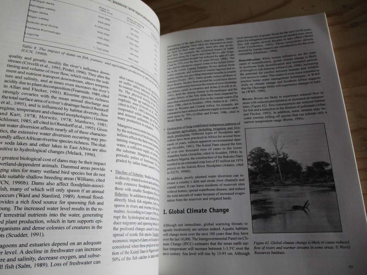 Forgotten Waters: Freshwater and Marine Ecosystems in Africa
