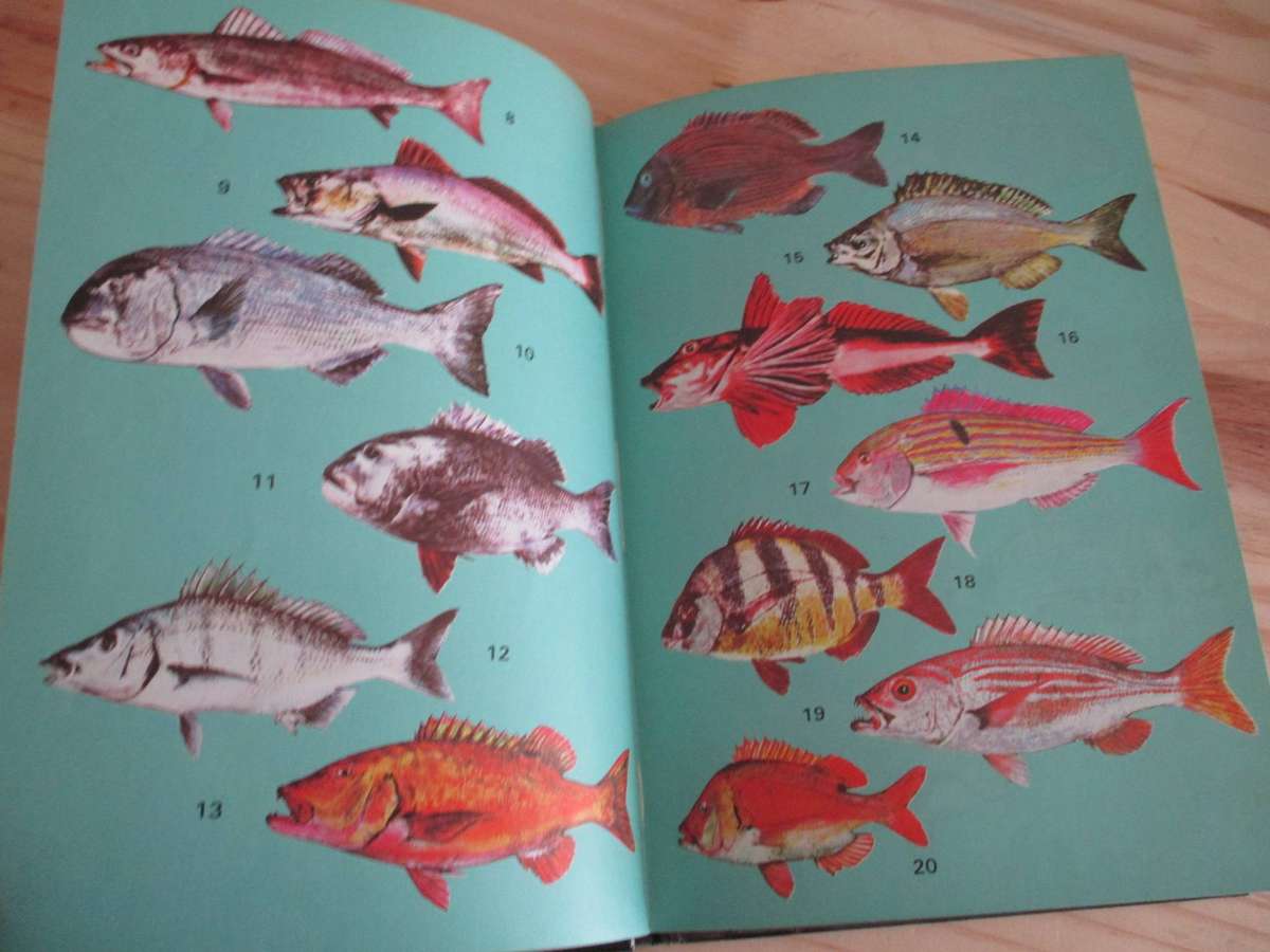 Kom Hengel in Valsbaai