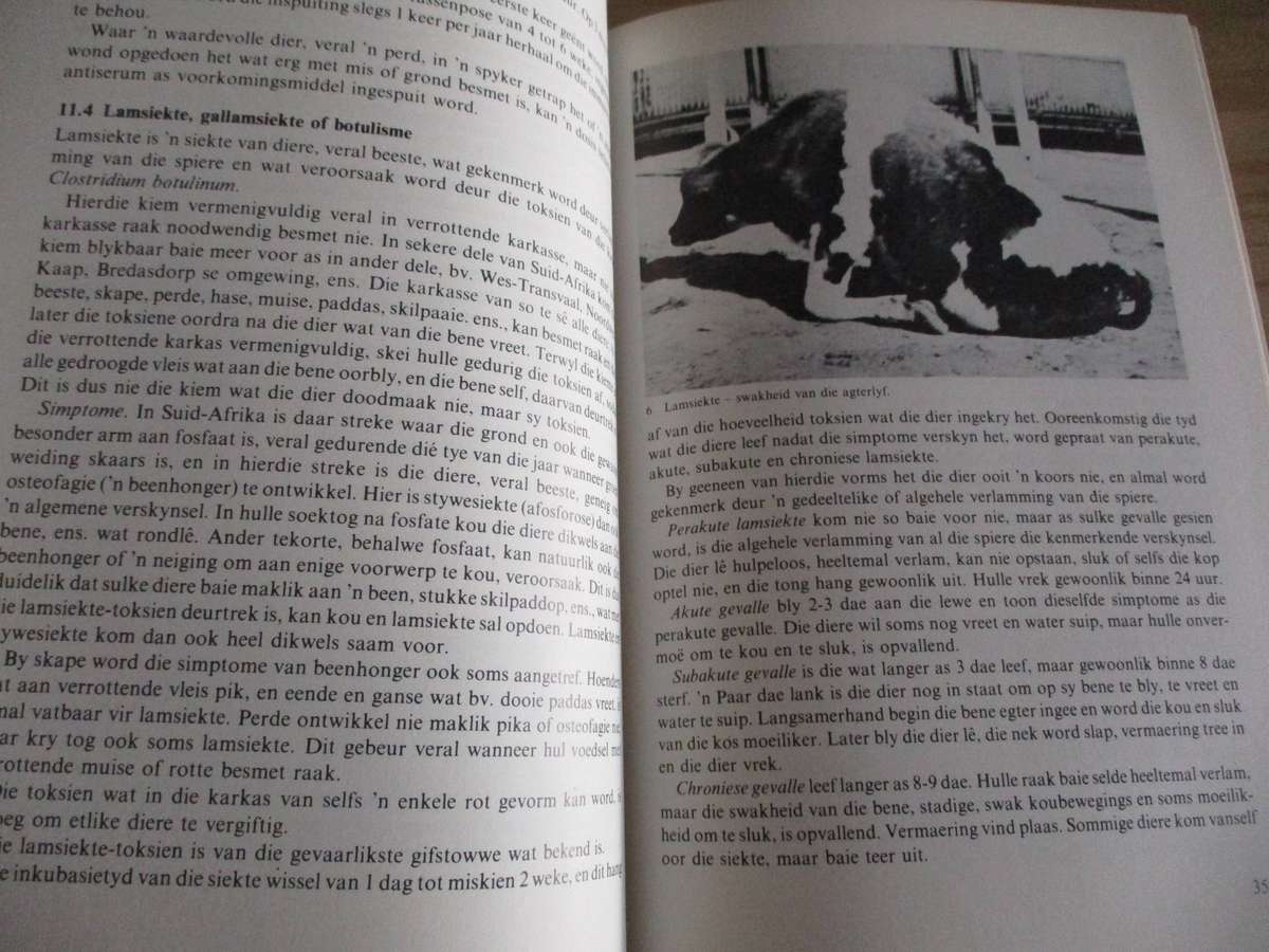 Monnig & Veldman - Handboek oor Veesiektes