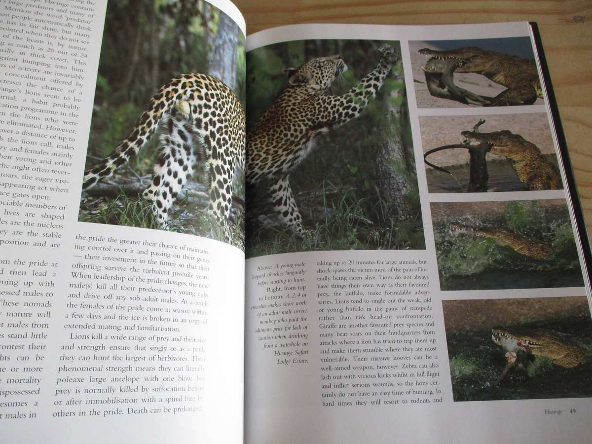 Hwange: Retreat of the Elephants