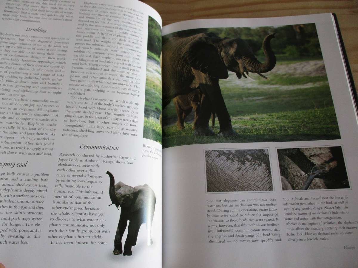 Hwange: Retreat of the Elephants