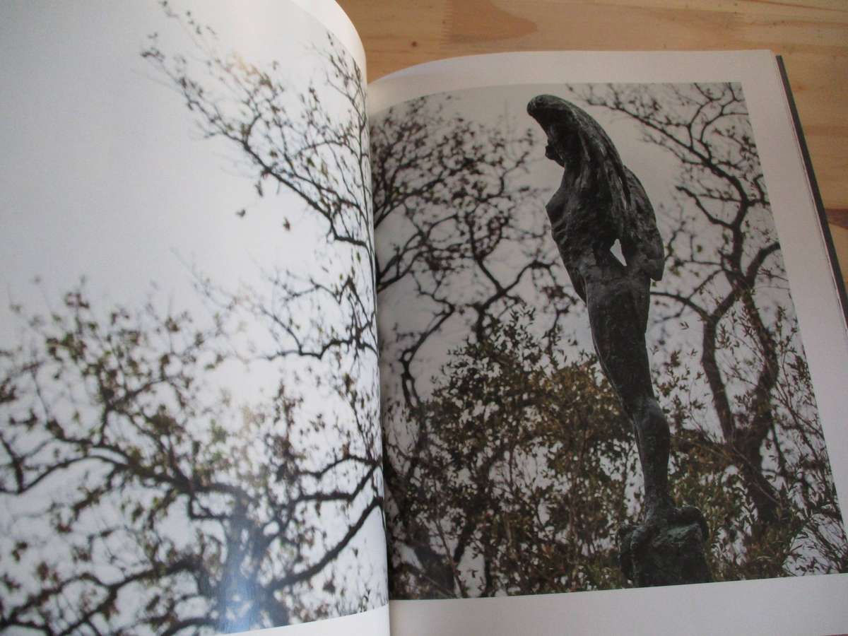 DYLAN LEWIS - An Untamed Force - Signed copy