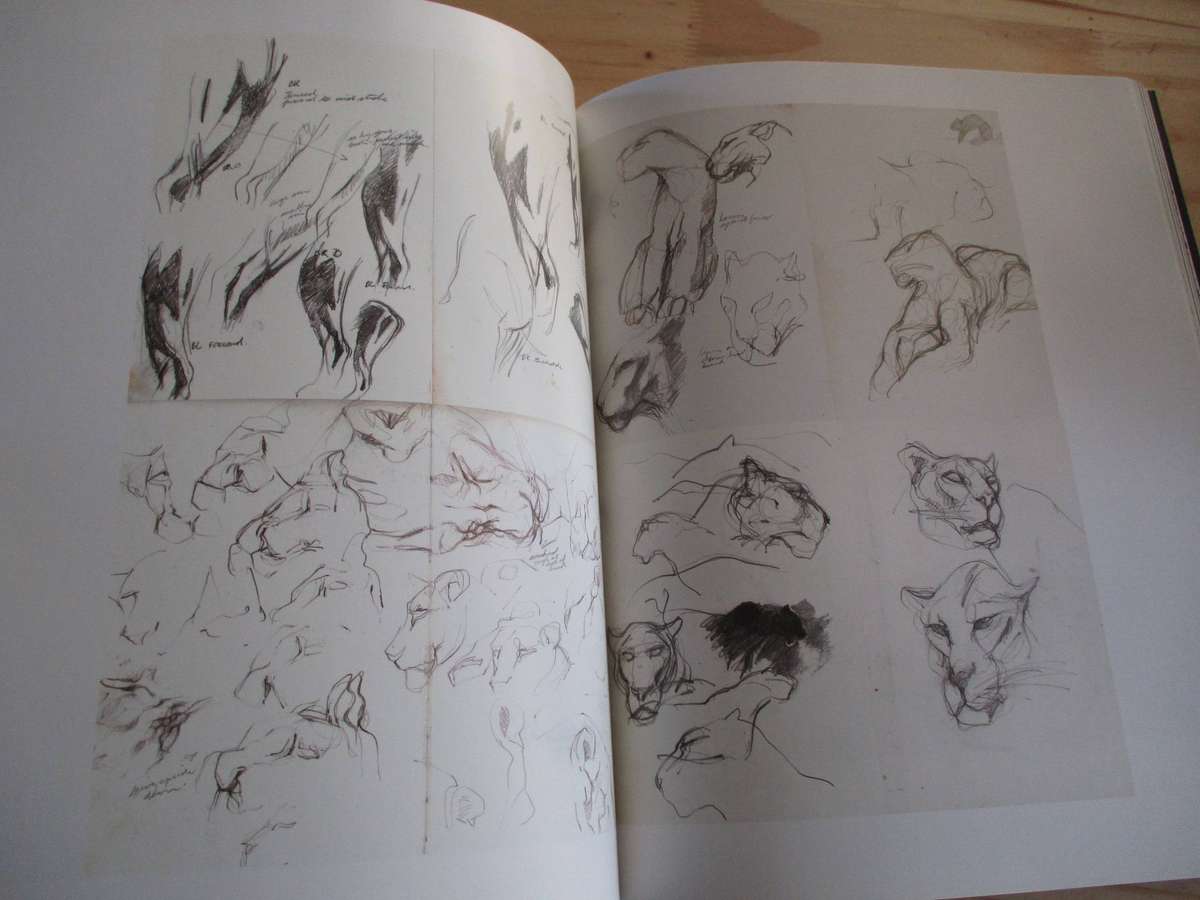 DYLAN LEWIS - An Untamed Force - Signed copy