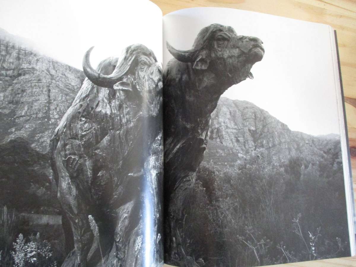 DYLAN LEWIS - An Untamed Force - Signed copy