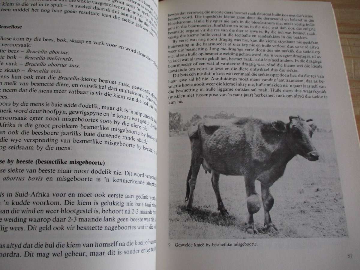 Handboek oor Veesiektes - Monnig en Veldman