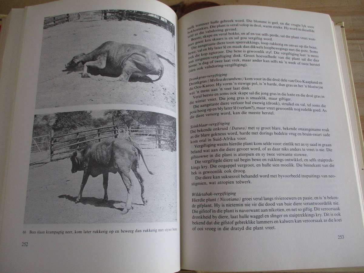 Handboek oor Veesiektes - Monnig en Veldman