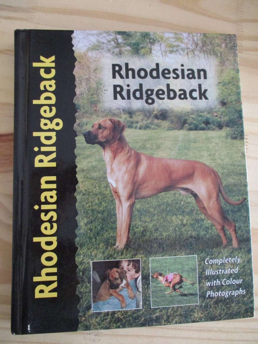 Rhodesian Ridgeback. By Ann Chamberlain