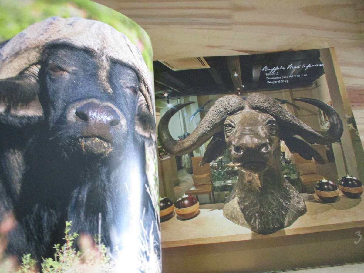 Bronze & Fire - The Art of Donald Greig