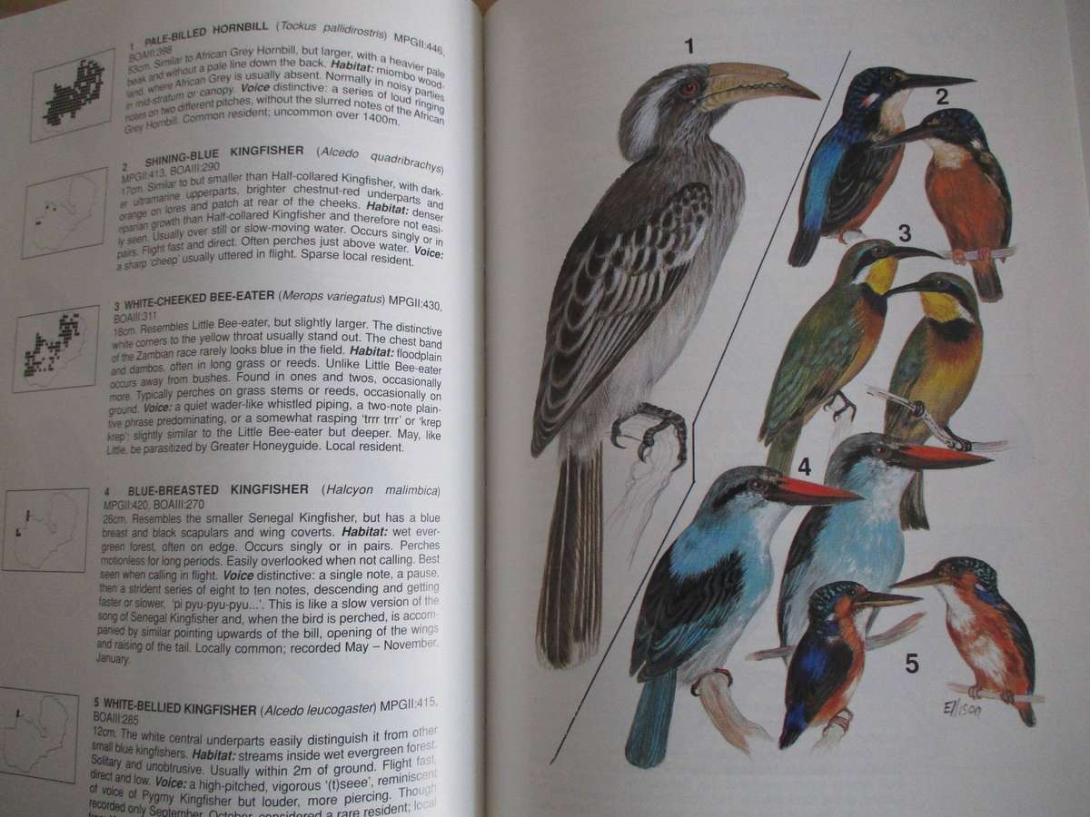 A field guide to ZAMBIAN BIRDS not found in Southern Africa