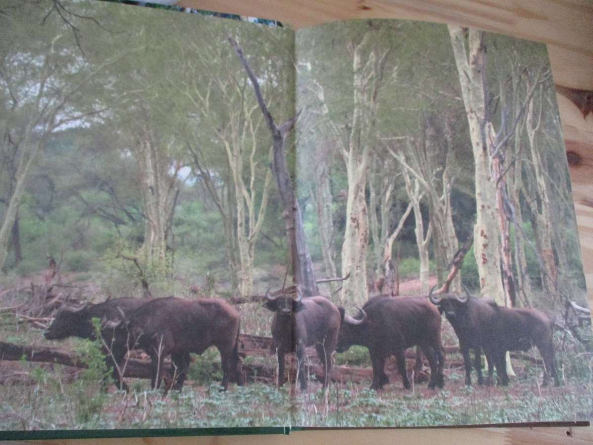 Remarkable Trees of South Africa - Neels Esterhuyse e.a.