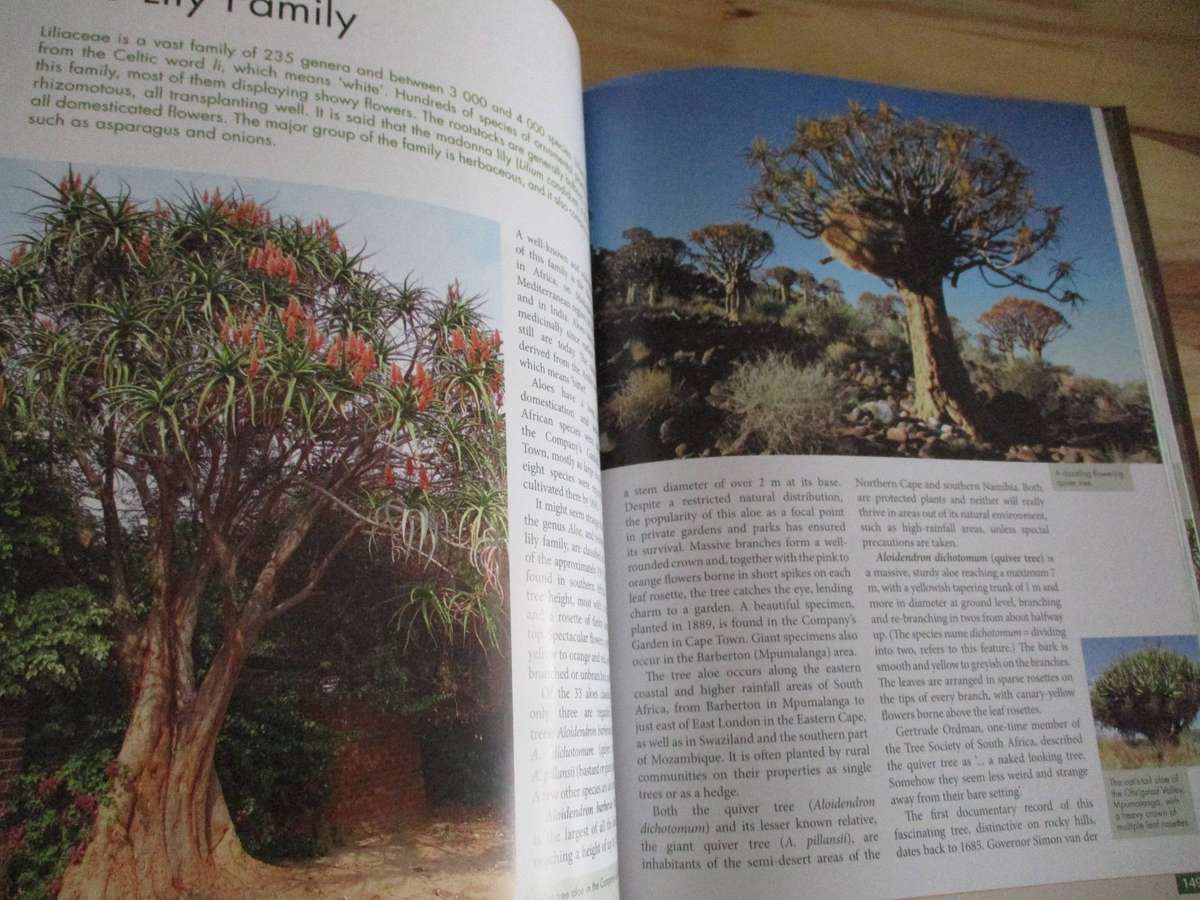 Remarkable Trees of South Africa - Neels Esterhuyse e.a.