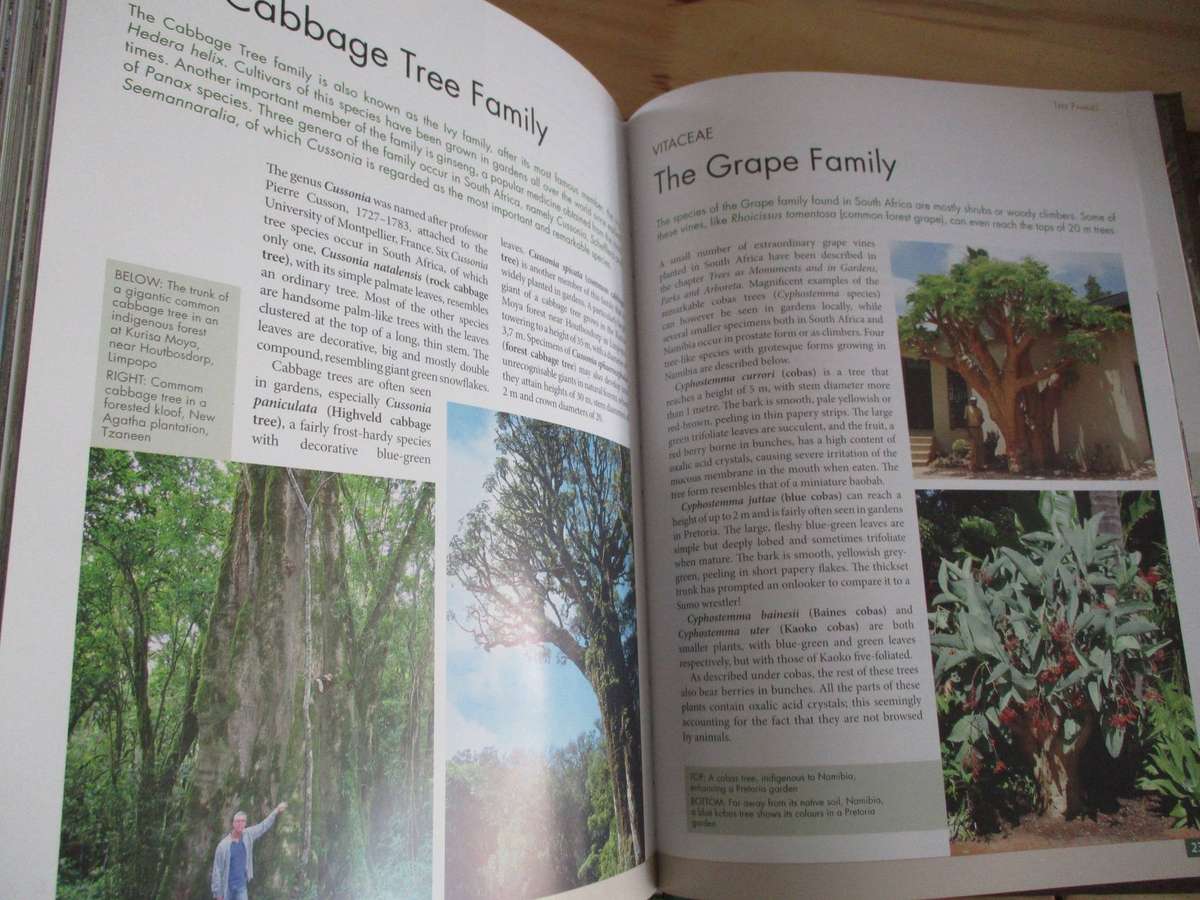 Remarkable Trees of South Africa - Neels Esterhuyse e.a.