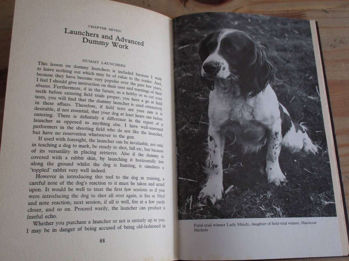 Training Spaniels. By Joe Irving