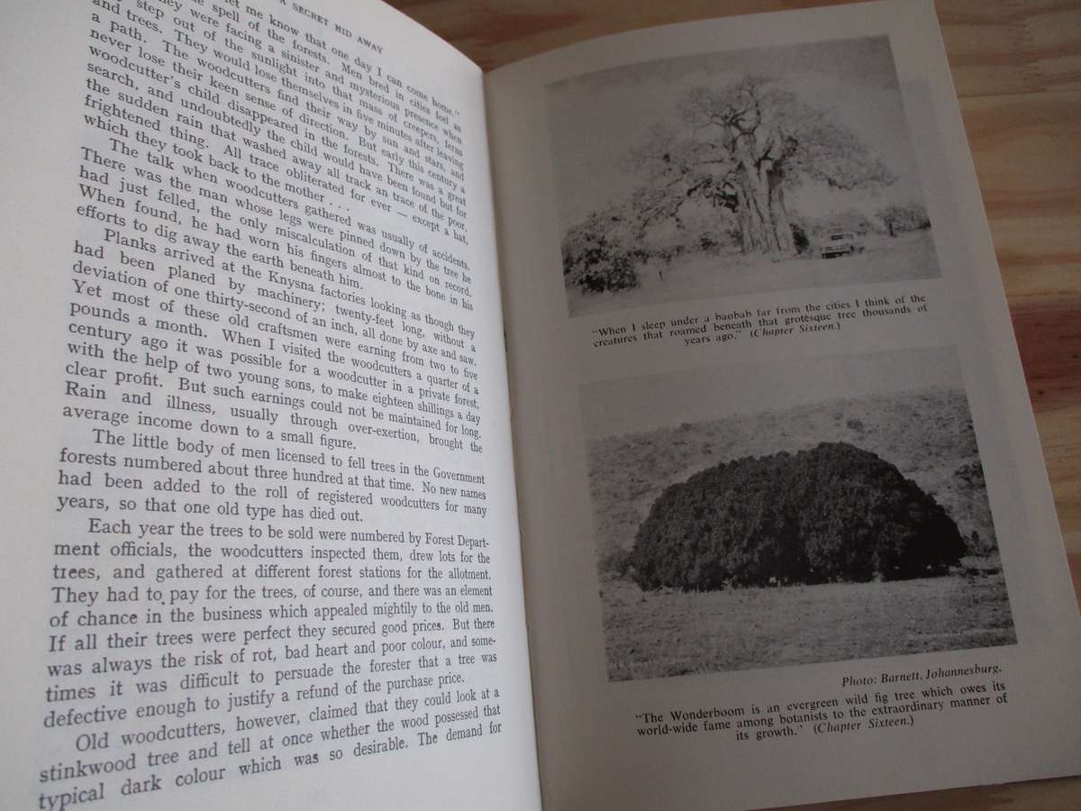 There's a secret hid away  Lawrence Green