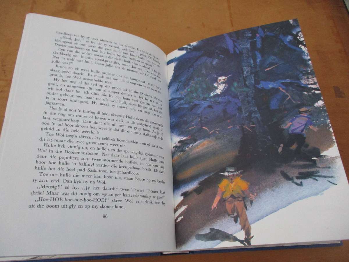 Die Groot Boek oor Ons Dieremaats