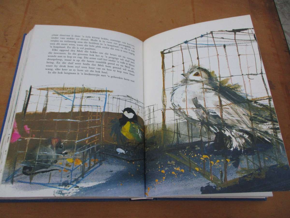 Die Groot Boek oor Ons Dieremaats