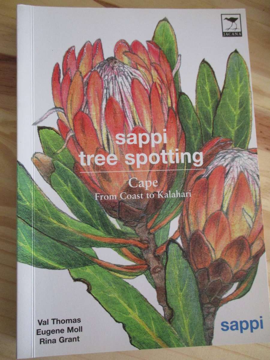 Sappi Tree Spotting Cape from Coast to Kalahari  Val Thomas Eugene Moll Rina Grant