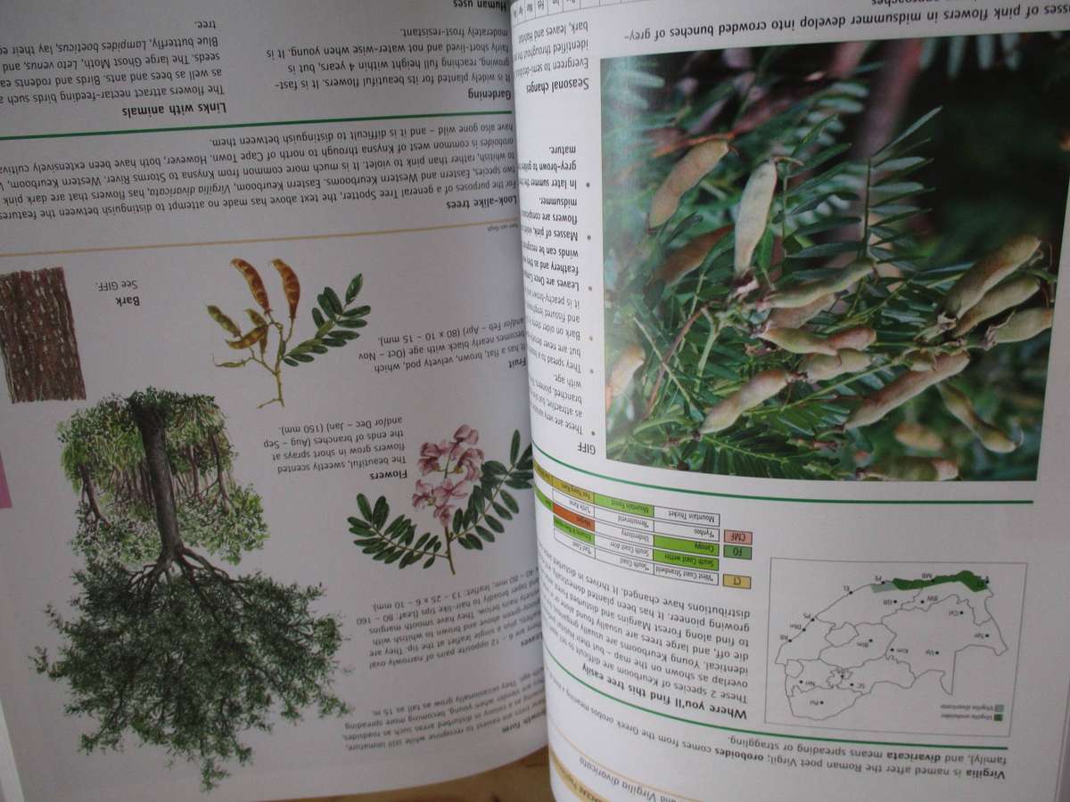 Sappi Tree Spotting Cape from Coast to Kalahari  Val Thomas Eugene Moll Rina Grant