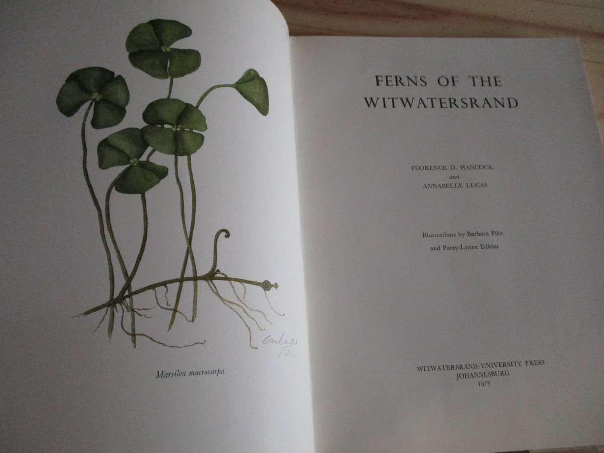 FERNS of the Witwatersrand  Florence D. Hancock  Annabelle Lucas