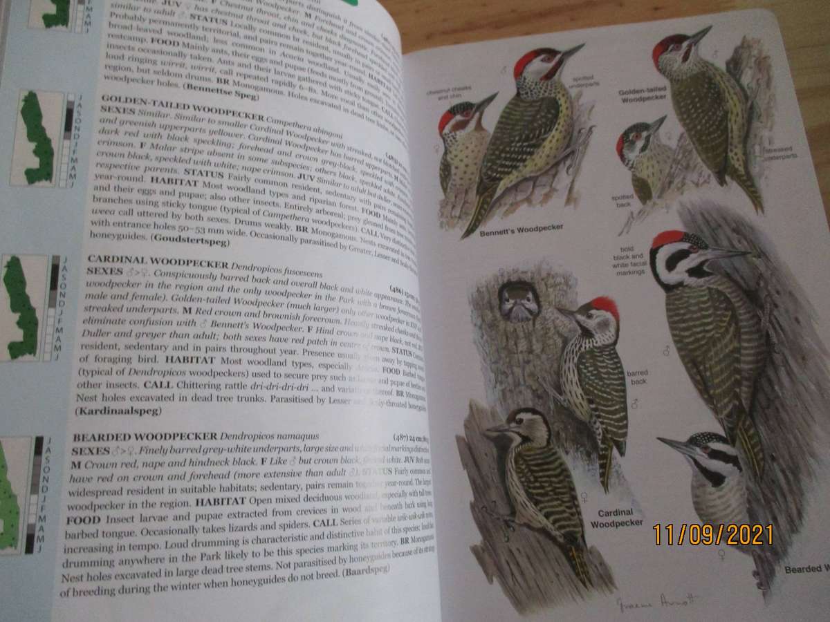 Roberts Bird Guide - Kruger National Park and adjacent Lowveld