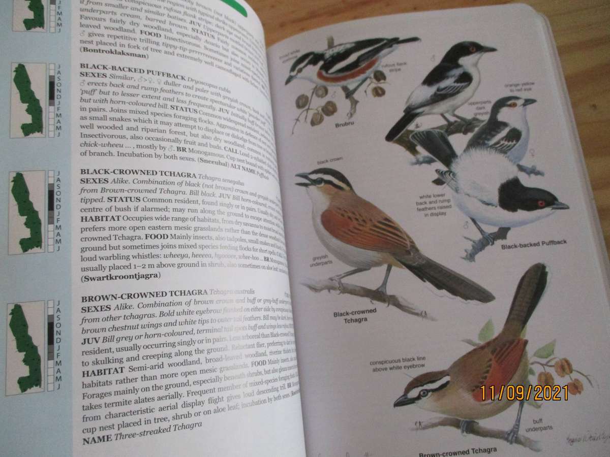 Roberts Bird Guide - Kruger National Park and adjacent Lowveld