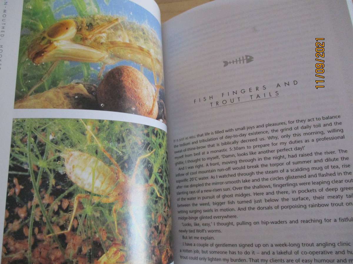 A Mean-Mouthed, Hook-Jawed, Bad-News, Son-of-a-Fish. South African Fly-Fishing Stories