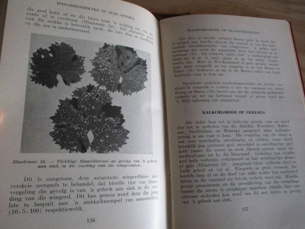 Wingerdsiektes in Suid-Afrika  S.J. du Plessis