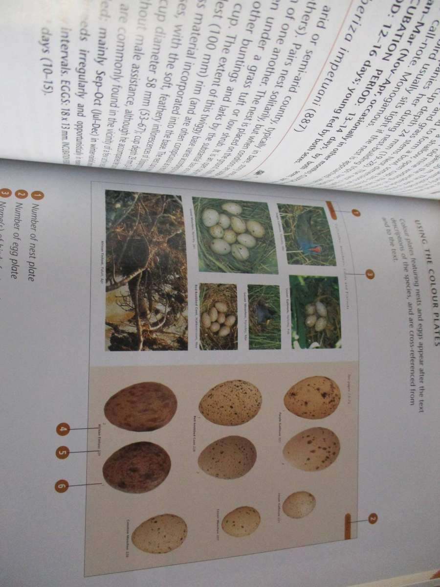 NESTS & EGGS  of Southern African Birds  Warwick Tarboton