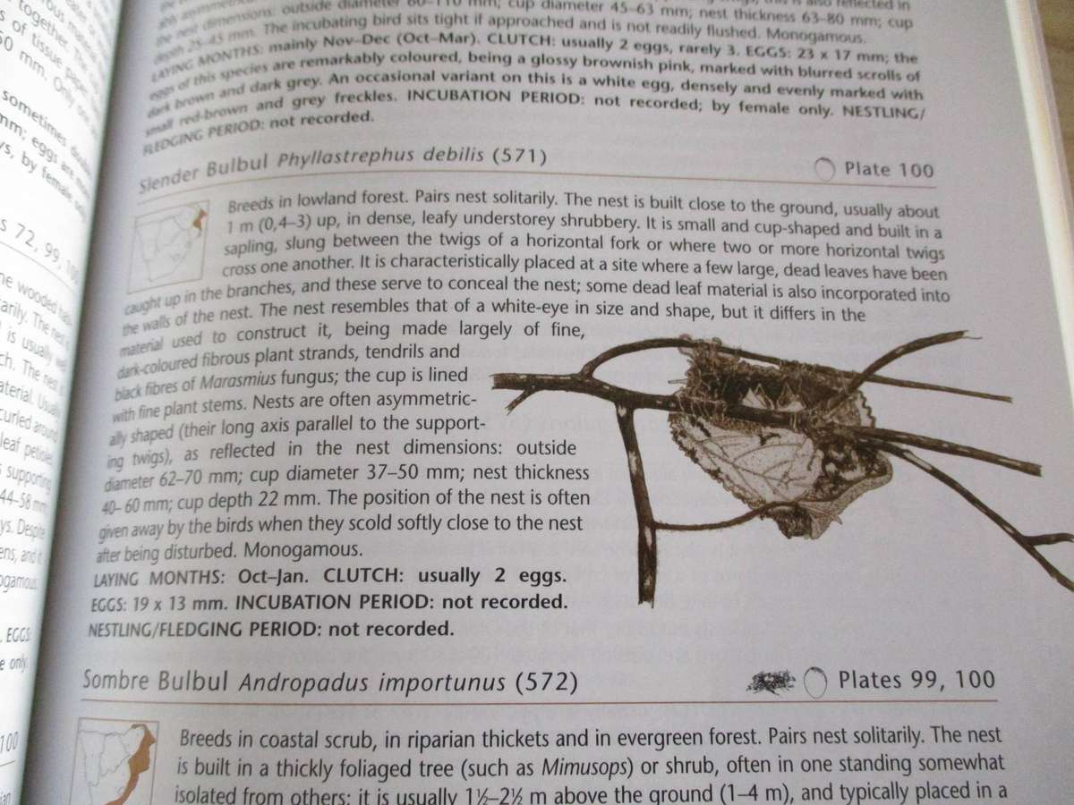 NESTS & EGGS  of Southern African Birds  Warwick Tarboton