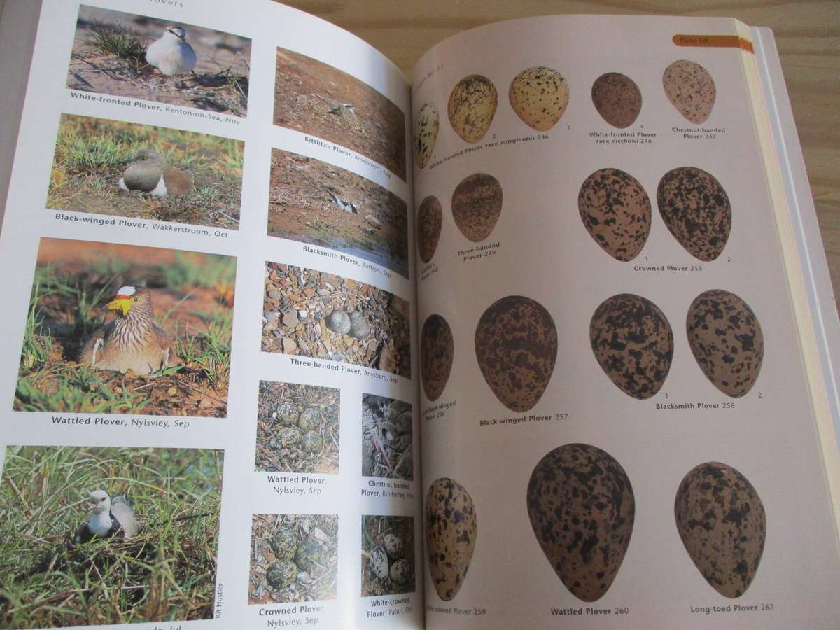 NESTS & EGGS  of Southern African Birds  Warwick Tarboton