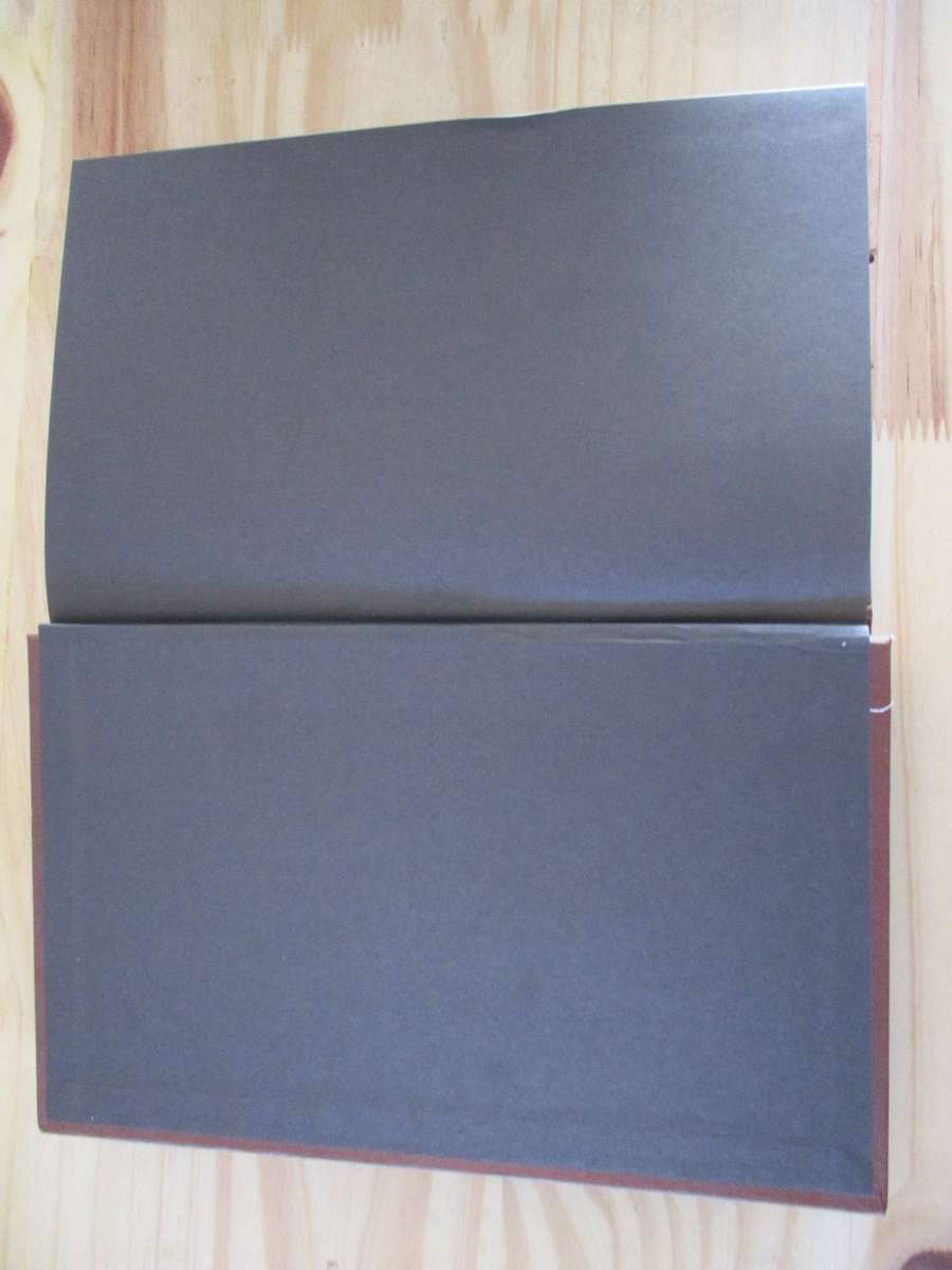 Raiders and Rebels in South Africa  E. Goodwin Green