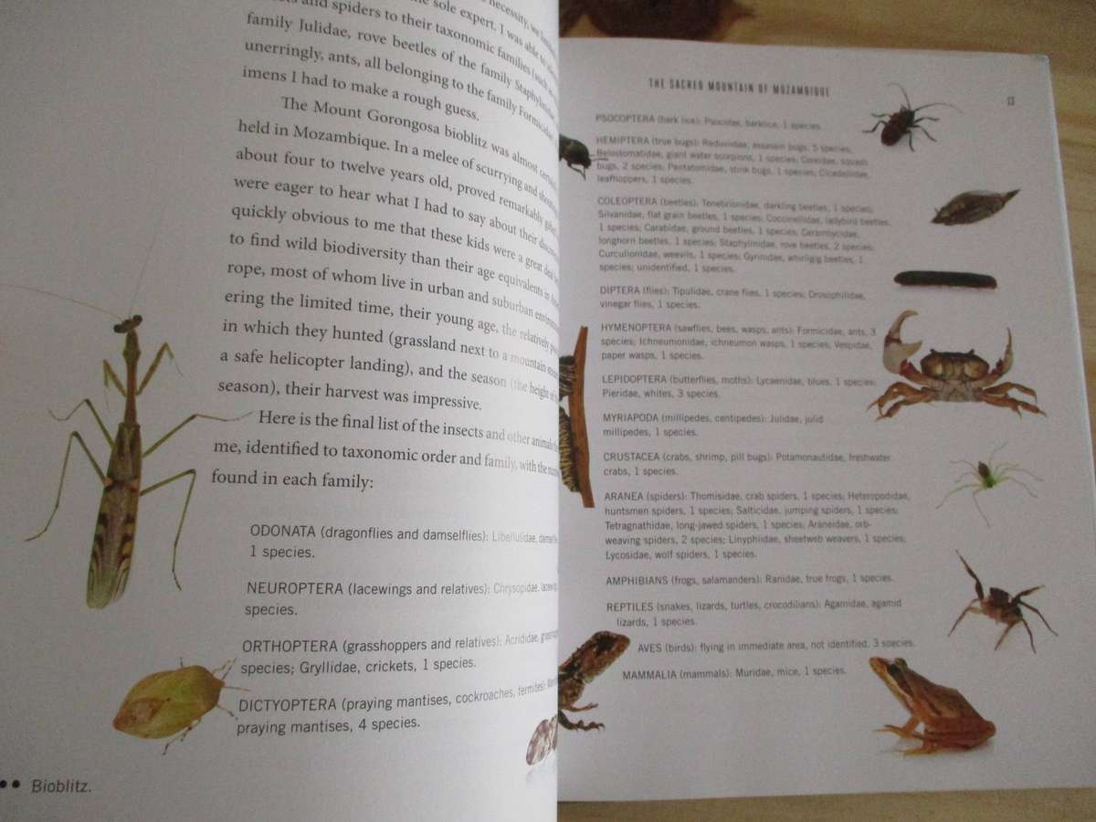 A WINDOW OF ETERNITY  A Biologist's walk through Gorongosa National Park Edward O. Wilson