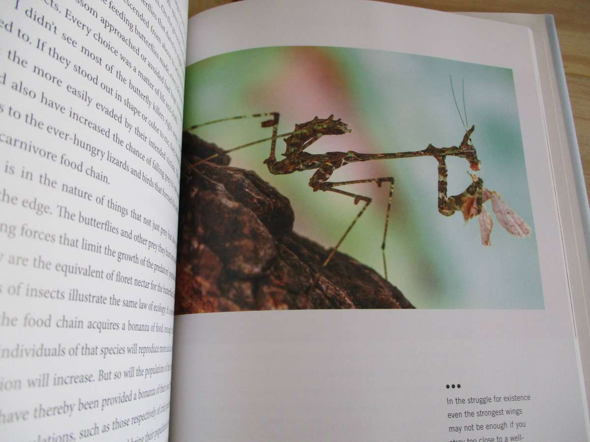 A WINDOW OF ETERNITY  A Biologist's walk through Gorongosa National Park Edward O. Wilson