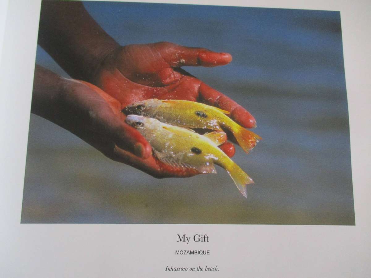 SIGNED. HIGHLIGHTS  A visual Journey