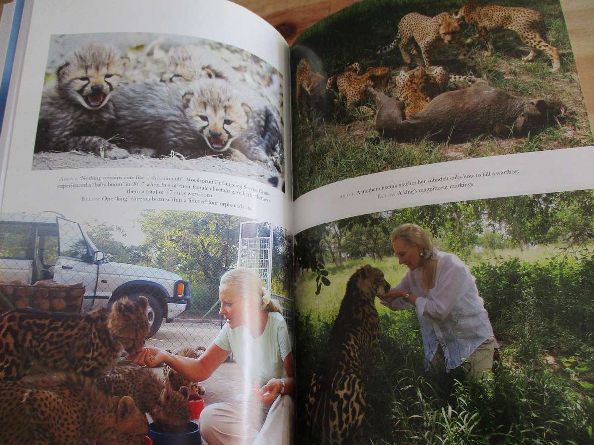 A Cheetah's Tale - Her Royal Highness Princess Michael of Kent