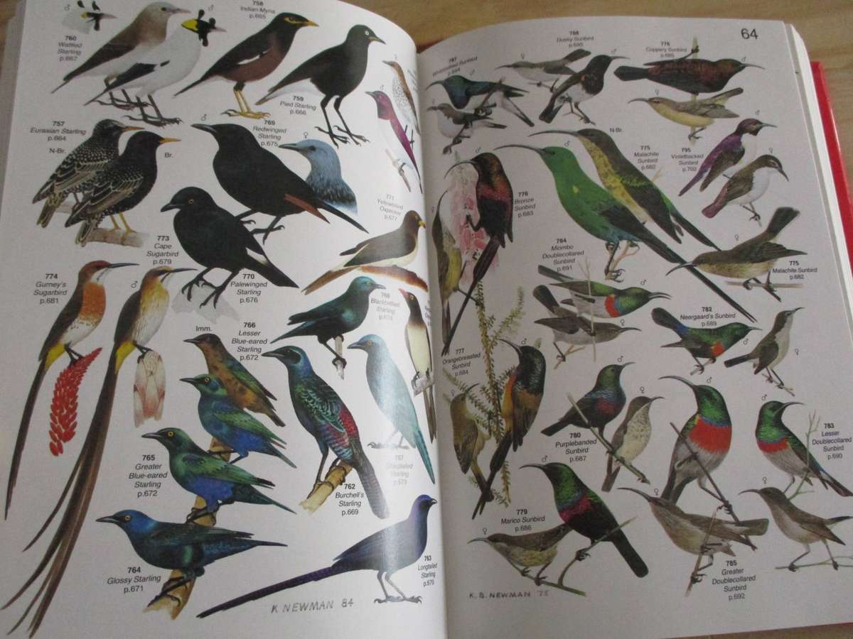ROBERTS' BIRDS OF SOUTHERN AFRICA