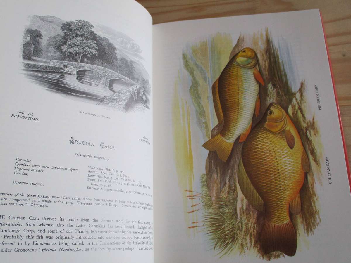 British Fresh-Water Fishes