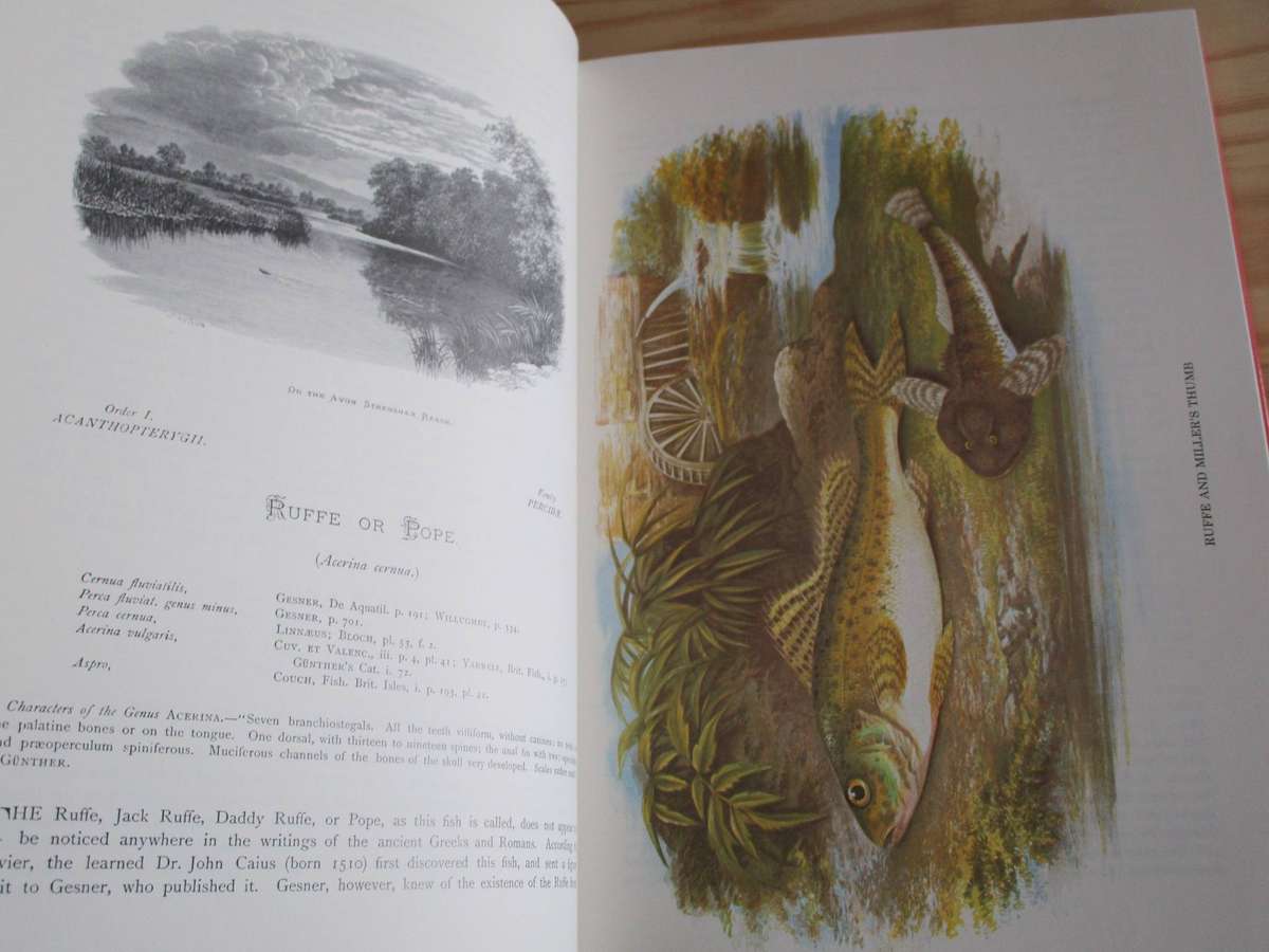 British Fresh-Water Fishes