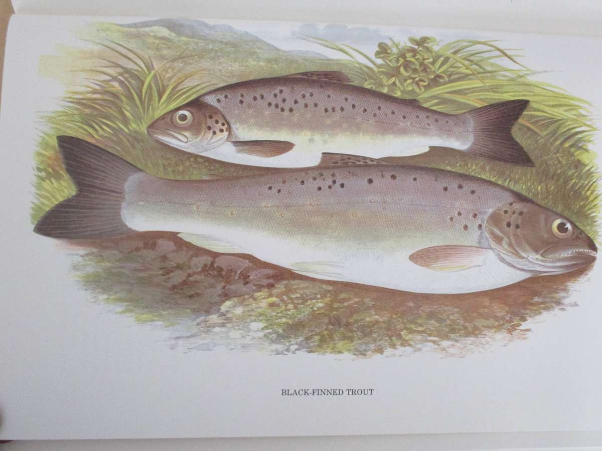 British Fresh-Water Fishes