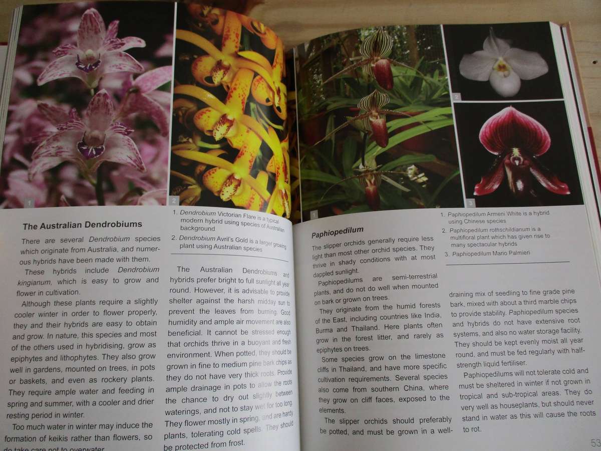 Orchids in South Africa. A Gardener's Guide - Hendrik Venter