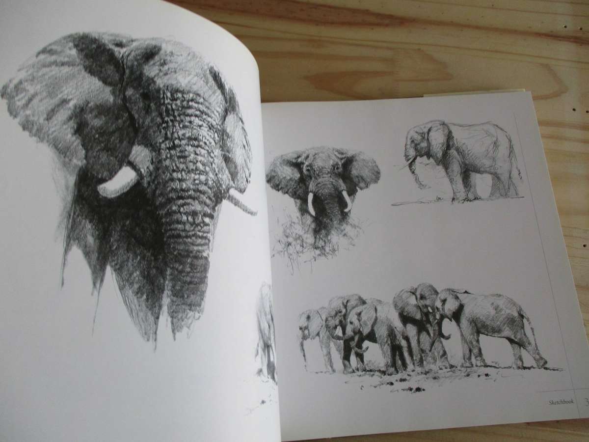 Painting with DAVID SHEPHERD. His unique studio secrets revealed