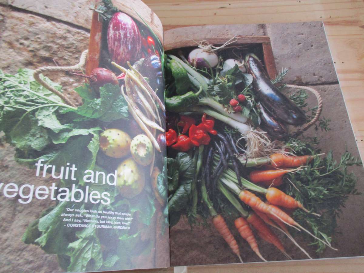 BABEL. Maranda Engelbrecht